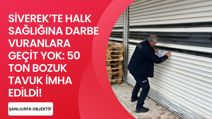 SİVEREK'TE "ZEHİR" OPERASYONU: 50 TON BOZUK TAVUK ELE GEÇİRİLDİ!